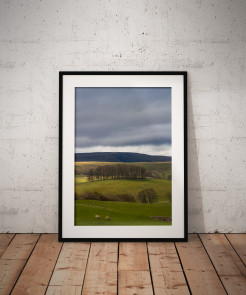 To buy a print or any of the below please click on the images